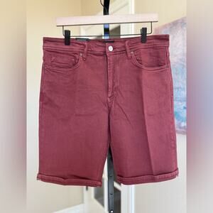 New BlankNYC Men’s Wooster Slim Fit Denim Jean Shorts Red Size 33